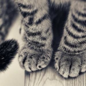 Meet your Posher, Brandy